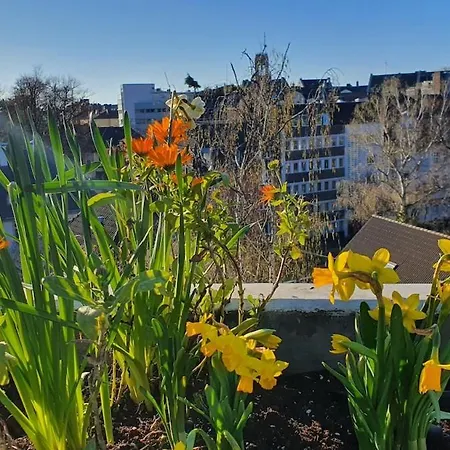 Apartament Penthouse Mit Blick Ueber Daecher Koelns Kolonia