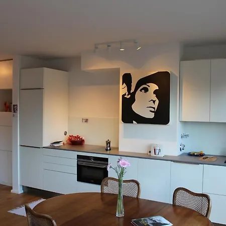 Penthouse Mit Blick Ueber Daecher Koelns Apartament *