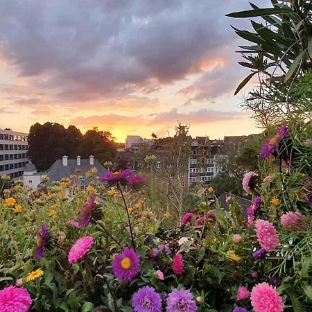 Penthouse Mit Blick Ueber Daecher Koelns Kolonia